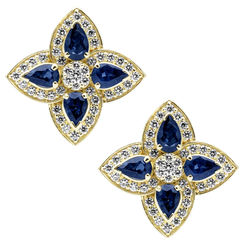 Silver Hoop Earrings for Women-Earrings - Blue Sapphire And Diamond